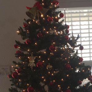 Meet your Posher, Minhdien